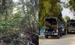 Cận cảnh nơi nghi phạm giết người, cướp của đang lẩn trốn ở Long An 