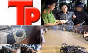 Bản tin Hình sự: Liên tiếp hai vụ người nổi tiếng bị điều tra liên quan đến ma túy