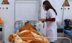 Hàng chục trường hợp ngộ độc nấm rừng tại Lâm Đồng