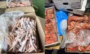 Thu giữ hơn 2,5 tấn thực phẩm đông lạnh không rõ nguồn gốc ở Đà Lạt