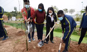 Sinh viên, giảng viên Học viện Nông nghiệp Việt Nam hưởng ứng trồng 5.000 cây xanh