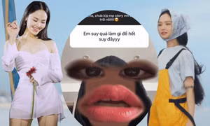 Fan hỏi - "vựa muối" Miu Lê trả lời: Chữa lành tâm hồn mà ngỡ đang xem show tấu hài