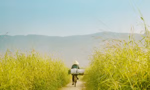 Ngắm bộ ảnh làng quê miền Trung đẹp tựa thước phim điện ảnh của chàng trai 9X