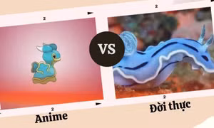 Loài vật như Pokémon "xé truyện bước ra đời thực" khiến nhiều fan trầm trồ