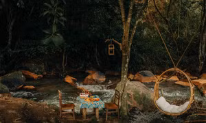 Đà Lạt quá chill: "Đổi cảnh" ở hai tiệm cà phê có view thiên nhiên đẹp đến nao lòng