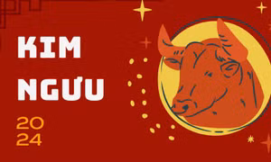 Dự đoán năm 2024 của Kim Ngưu: Nỗ lực được đền đáp, cẩn thận với "lời ra tiếng vào"