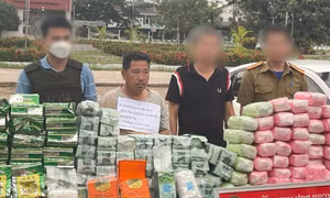 Khám phá đường dây xuyên quốc gia, thu giữ hơn 200kg ma túy