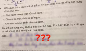 Bài toán "17 con ngựa chia đều cho 3 anh em", lời giải của bạn nhỏ khiến netizen thán phục