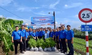 Tiền Giang: Ra quân Chiến dịch Kỳ nghỉ hồng và 6 Đội hình thanh niên tình nguyện