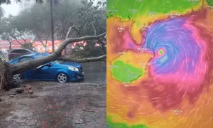 Bão số 3 giữ nguyên cấp 16 tiến vào vịnh Bắc Bộ, Hà Nội đã có thiệt hại về người