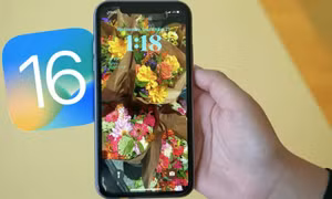 Người dùng iPhone than phiền máy hao pin nhanh hơn sau khi cập nhật iOS 16.5