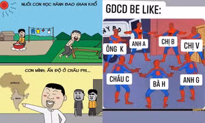 Những kiến thức trong đề thi Tốt nghiệp khiến teen khóc ròng, không khó nhưng lại dễ nhầm