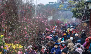Dự báo thời tiết Tết Nguyên đán 2023: Nhiệt độ miền Bắc cao hơn trung bình nhiều năm