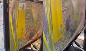 Hà Nội: Người đàn ông đánh bé gái 4 tuổi ở khu vui chơi khai gì tại cơ quan công an?