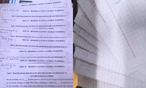 Tình trạng chung sau thời gian học online: Điểm kiểm tra cực thấp, ai khóc "nỗi đau" này?