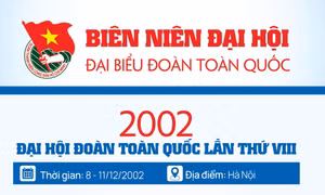 INFOGRAPHIC: Đại hội Đoàn toàn quốc lần thứ VIII - 2002
