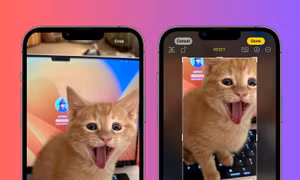 Apple cập nhật tính năng mới trên iOS 17 dành riêng cho "hội cuồng thú cưng"