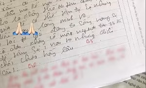Nam sinh nhận 0,5 điểm bài kiểm tra Văn, đọc lời phê của cô giáo thì thấy rất xứng đáng