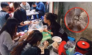 Cháo sườn trứng cút nổi tiếng Hà Nội có "sinh vật lạ": Chủ quán chính thức lên tiếng