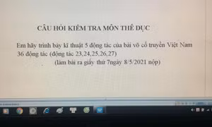 Muôn kiểu kiểm tra online mùa dịch: Động tác thể dục được thực hiện... trên giấy