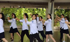 Tân binh THPT chuyên Hà Nội - Amsterdam hòa mình cùng điệu nhảy flashmob sôi động