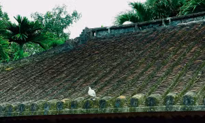 Ngôi nhà cổ hơn 200 năm tuổi ở Đà Nẵng