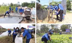 Tuổi trẻ Đà Nẵng xung kích vì cộng đồng, tiên phong lập nghiệp khởi nghiệp