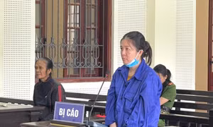 Tuyên án nữ quái lừa ‘chạy án’, chiếm đoạt gần nửa tỷ đồng