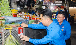 Hơn 500 đội hình thanh niên Nghệ An hỗ trợ chuyển đổi số cho 35.000 người dân trong Tháng Thanh niên