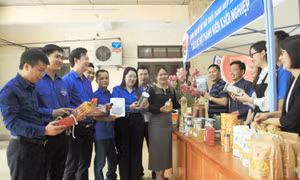 Ra mắt Câu lạc bộ Thanh niên khởi nghiệp tỉnh Nghệ An