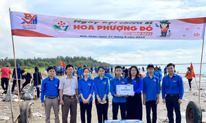 Tưng bừng ngày hội chiến dịch Hoa phượng đỏ 2022 của tuổi trẻ Nghệ An