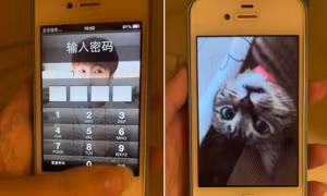 Cô gái đợi 10 năm để mở lại chiếc iPhone bị vô hiệu hóa, lý do rất xúc động