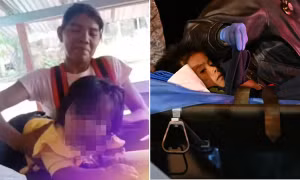 Lời dặn dò cuối cùng của mẹ giúp 4 trẻ em sống sót trong rừng Amazon sau tai nạn máy bay