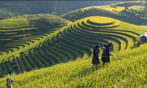 Báo nước ngoài nêu 9 nơi có cảnh đẹp nhất ở Việt Nam, nhất định nên ghé thăm