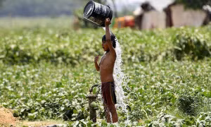 Thế giới sắp chạm đến “mốc nhiệt độ nguy hiểm”, năm nóng nhất trong lịch sử đang ở rất gần