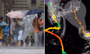Đặc điểm khác thường của bão Khanun khiến nó gây thiệt hại kéo dài ở nhiều quốc gia