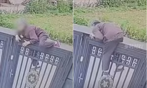 Cụ bà 92 tuổi trèo qua cổng cao hơn 2 mét để trốn khỏi viện dưỡng lão