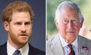 Cha con chia rẽ: Phản ứng đầu tiên của Thái tử Charles sau khi bị Harry chỉ trích lần nữa