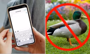 iPhone sẽ ngừng tự thay thế một từ rất phổ biến, tại sao ai cũng buồn cười?