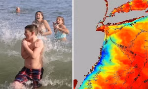 Vùng biển ở Mỹ có nước lạnh 12 độ C dù trời nắng nóng gay gắt, lý do là gì?