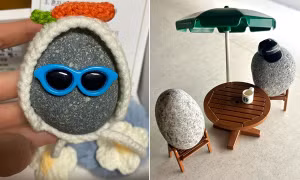 Tại sao nhiều người trẻ Hàn Quốc mua những viên đá rồi chăm sóc như thú cưng?