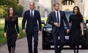 Công nương Kate nói gì về lần tái hợp bất ngờ của anh em Hoàng tử William - Harry?