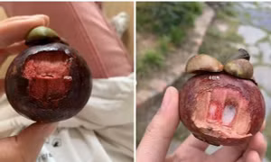 Một người Trung Quốc kêu trời vì măng cụt “vừa đắt vừa đắng”, hóa ra có cách ăn quá bất ngờ
