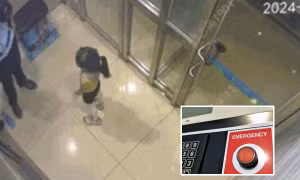 Bé gái bị lạc đường, nhanh trí dùng máy ATM để tìm cách về với gia đình