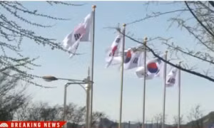 Đài NBC bị chỉ trích vì dùng hình cờ Hàn Quốc trong bản tin về cựu Thủ tướng Shinzo Abe