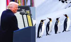 Tại sao Tổng thống Mỹ Trump dự định áp thuế ở cả quần đảo chỉ có chim cánh cụt?