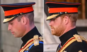 Hoàng tử Harry đã được mặc quân phục, nhưng có chi tiết quan trọng nào phải thay đổi?