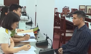 Khởi tố giám đốc Công ty TNHH Mi Hà Nội vì trốn thuế