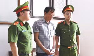 Bắt khẩn cấp chủ tịch xã làm ngơ cho khai thác đất rừng trái phép 