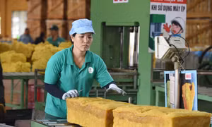 VRG trước thềm Đại hội cổ đông 2025: Bản lĩnh vượt khó, sẵn sàng cho sức bật mới 